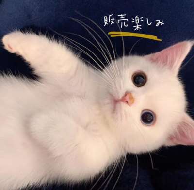查看该用户主页信息